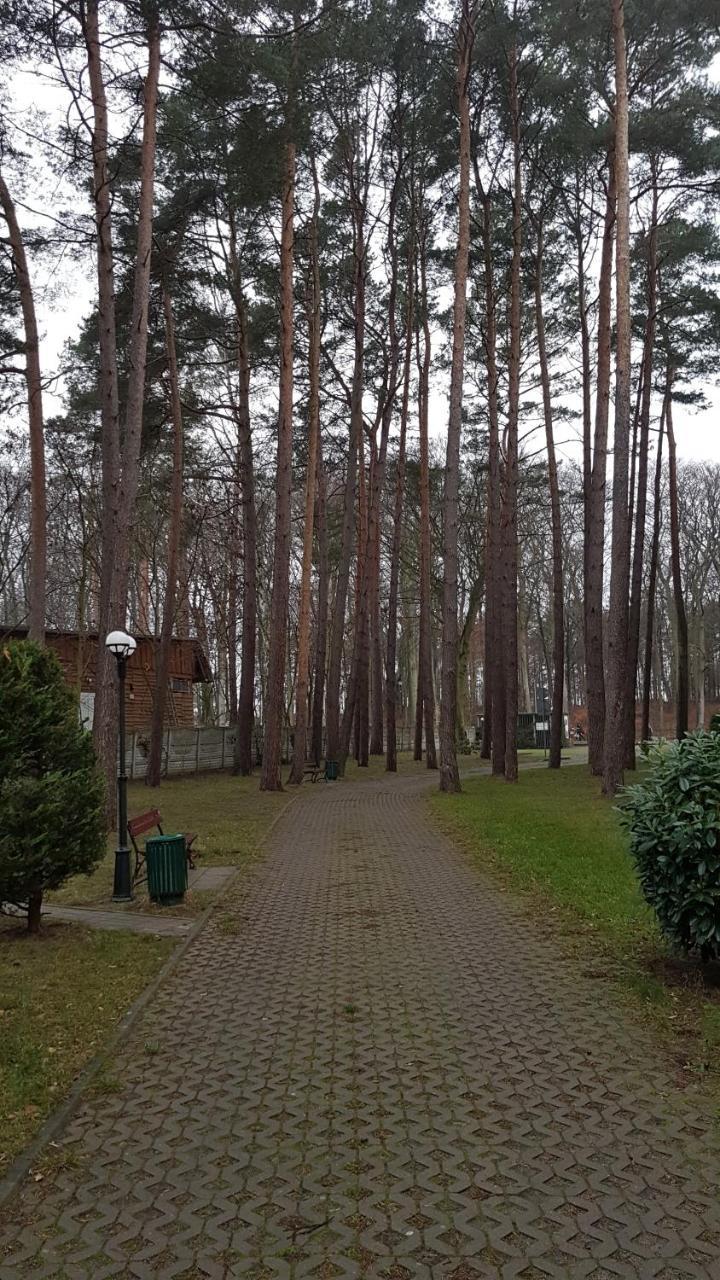 Apartament Maria Miedzyzdroje Exteriér fotografie